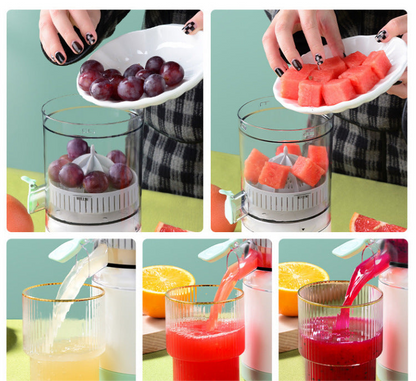 Mini Portable Juicer