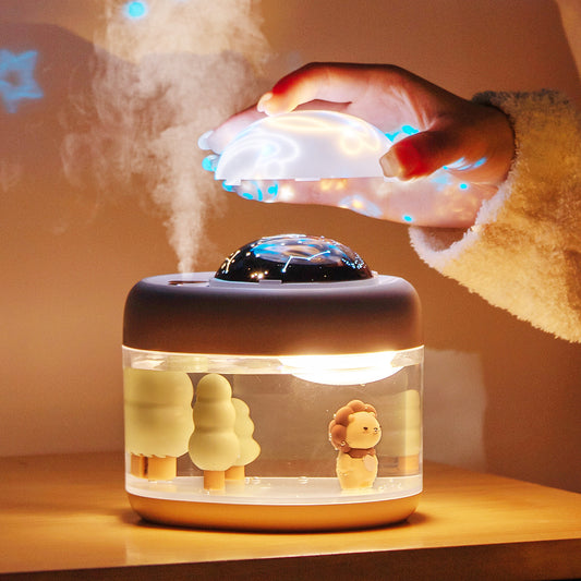 Rotary Projection Humidifier